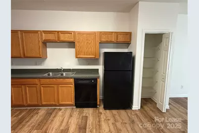 7041 Somerset Springs Drive, Charlotte, NC 28262 - Photo 6