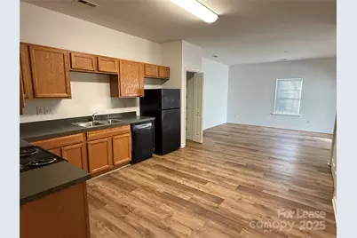 7041 Somerset Springs Drive, Charlotte, NC 28262 - Photo 4