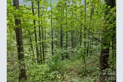 1 Rixhaven Drive, Saluda, NC 28773 - Photo 8