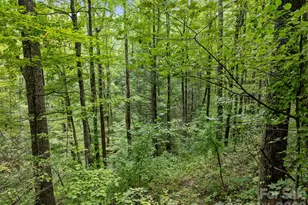 1 Rixhaven Dr, Saluda, NC 28773 - Photo 8