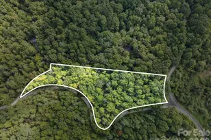 1 Rixhaven Dr, Saluda, NC 28773 - Photo 2