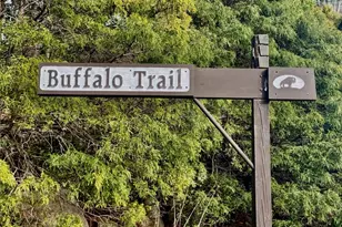 125 Buffalo Trail, Asheville, NC 28805 - Photo 38