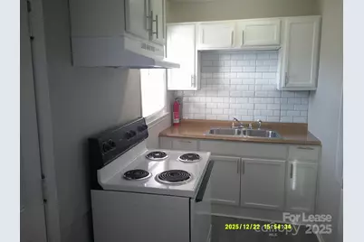 1219 County Home Road, Conover, NC 28613 - Photo 2