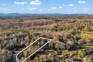 132 Grandview Dr, Rutherfordton, NC 28139 - Photo 46