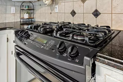 4375 Gentry Lane, York, SC 29745 - Photo 6