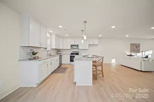 60 Griffin Rd, Pageland, SC 29728 - Photo 4