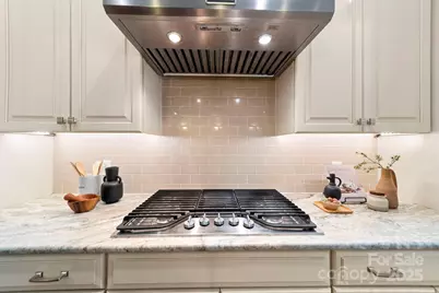 14817 High Bluff Court, Charlotte, NC 28278 - Photo 16