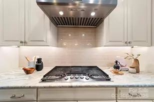 14817 High Bluff Ct, Charlotte, NC 28278 - Photo 16