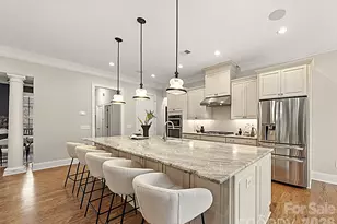 14817 High Bluff Ct, Charlotte, NC 28278 - Photo 2