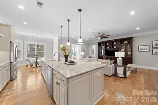 14817 High Bluff Ct, Charlotte, NC 28278 - Photo 10