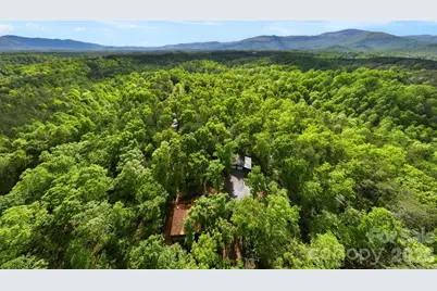 81 Delind Drive, Mill Spring, NC 28756 - Photo 32