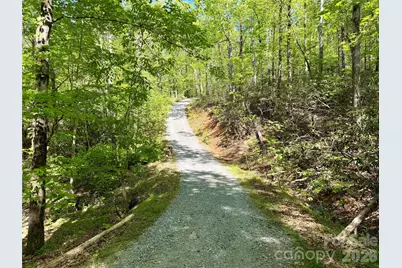 81 Delind Drive, Mill Spring, NC 28756 - Photo 2