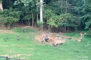 21 Par Dr, Granite Falls, NC 28630 - Photo 30