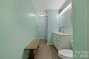 40 Country Bear Ln, Flat Rock, NC 28731 - Photo 32