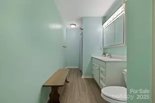 40 Country Bear Ln, Flat Rock, NC 28731 - Photo 32