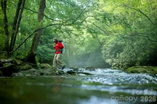 40 Country Bear Ln, Flat Rock, NC 28731 - Photo 46