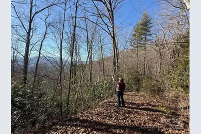 Lot 27 Bernies Trail #27, Waynesville, NC 28785 - Photo 2