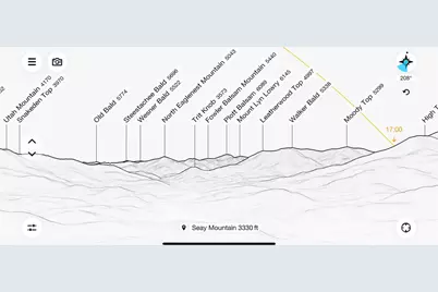 Lot 28 Bernies Trail #28, Waynesville, NC 28785 - Photo 16