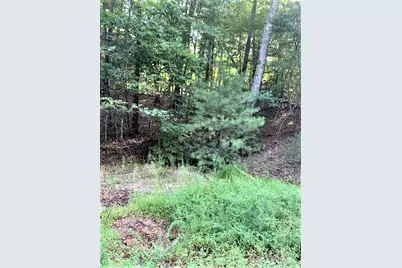 0 E Swans Way #262, Lake Lure, NC 28746 - Photo 4