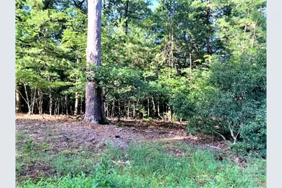 0 E Swans Way #262, Lake Lure, NC 28746 - Photo 6