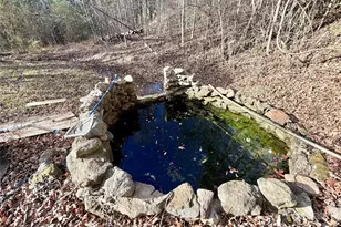 100 Steffey Ln, Taylorsville, NC 28681 - Photo 34