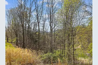 71 Mace Road, Marshall, NC 28753 - Photo 28