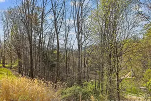 71 Mace Rd, Marshall, NC 28753 - Photo 28