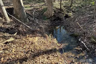 464 Hamrick Rd, Mooresboro, NC 28114 - Photo 46