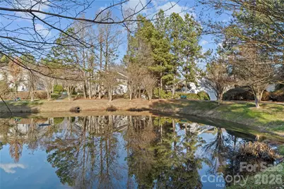 10923 Holly Ridge Boulevard, Charlotte, NC 28216 - Photo 38