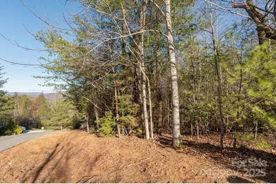 Tbd Dockside Drive, Nebo, NC 28754 - Photo 10