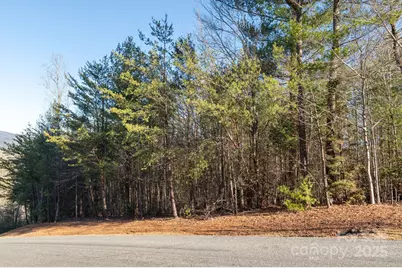 Tbd Dockside Drive, Nebo, NC 28754 - Photo 8