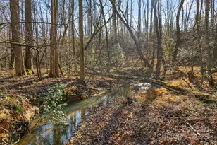 241 Pinefield Dr, Tryon, NC 28782 - Photo 34