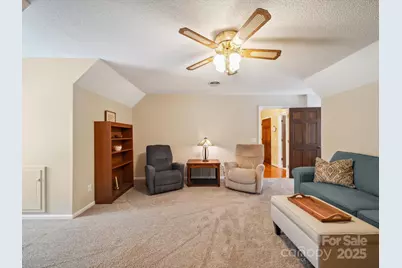 394 E Goldmine Road, Wadesboro, NC 28170 - Photo 26
