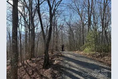 Lot 21 Brer Rabbit Trail #21, Waynesville, NC 28785 - Photo 2