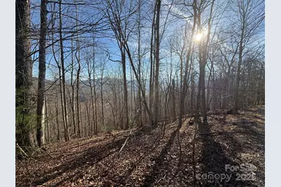 Lot 19 Brer Rabbit Trail #19, Waynesville, NC 28785 - Photo 1