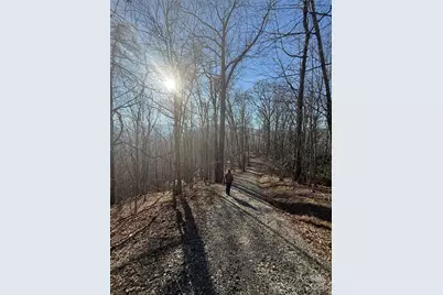 Lot 19 Brer Rabbit Trail #19, Waynesville, NC 28785 - Photo 2