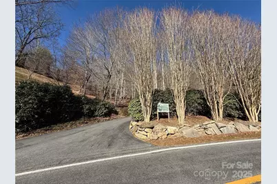 Lot 19 Brer Rabbit Trail #19, Waynesville, NC 28785 - Photo 6