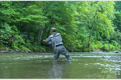 40 Country Bear Lane, Flat Rock, NC 28731 - Photo 44