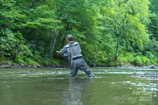 40 Country Bear Ln, Flat Rock, NC 28731 - Photo 44