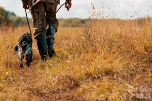 40 Country Bear Ln, Flat Rock, NC 28731 - Photo 46