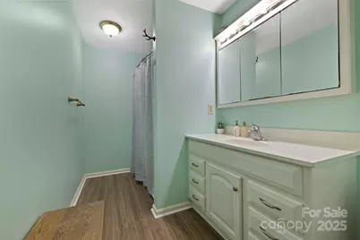 40 Country Bear Lane, Flat Rock, NC 28731 - Photo 34