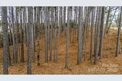 340 Gardner Point Drive, Stony Point, NC 28678 - Photo 6