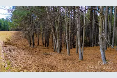 340 Gardner Point Drive, Stony Point, NC 28678 - Photo 8