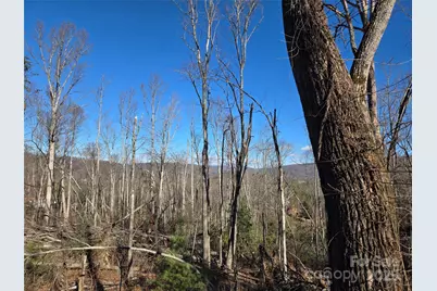 211 Holly Mountain Lane, Fletcher, NC 28732 - Photo 8