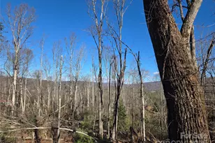 211 Holly Mountain Ln, Fletcher, NC 28732 - Photo 8