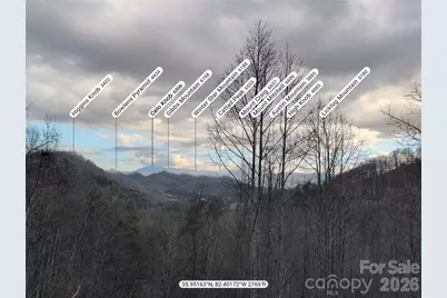 151 Thunderstruck Ridge, Burnsville, NC 28714 - Photo 2