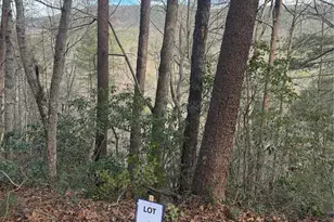 7376 Nc 181 Hwy, Morganton, NC 28655 - Photo 28