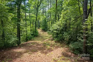 7376 Nc 181 Hwy, Morganton, NC 28655 - Photo 42