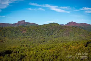 7376 Nc 181 Hwy, Morganton, NC 28655 - Photo 38