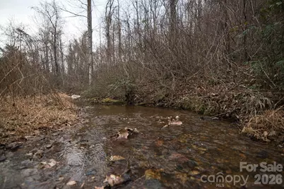 5712 Holbert Cove Road, Saluda, NC 28773 - Photo 12